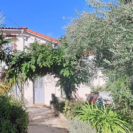 Studio Avec Jardin A 10 Mn A Pied Du Centre Ville Tuluza Zewnętrze zdjęcie