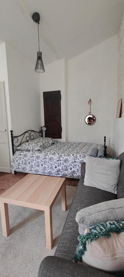 Studio Avec Jardin A 10 Mn A Pied Du Centre Ville Tuluza Zewnętrze zdjęcie